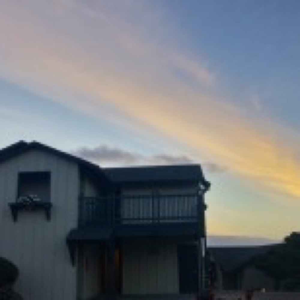 Meet your Posher, Trin